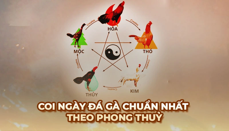 Coi ngày Đá Gà - Mẹo xem ngày cho chiến kê ra trận thắng lớn