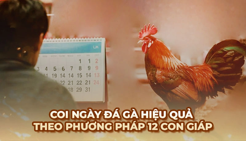 Coi ngày Đá Gà - Mẹo xem ngày cho chiến kê ra trận thắng lớn
