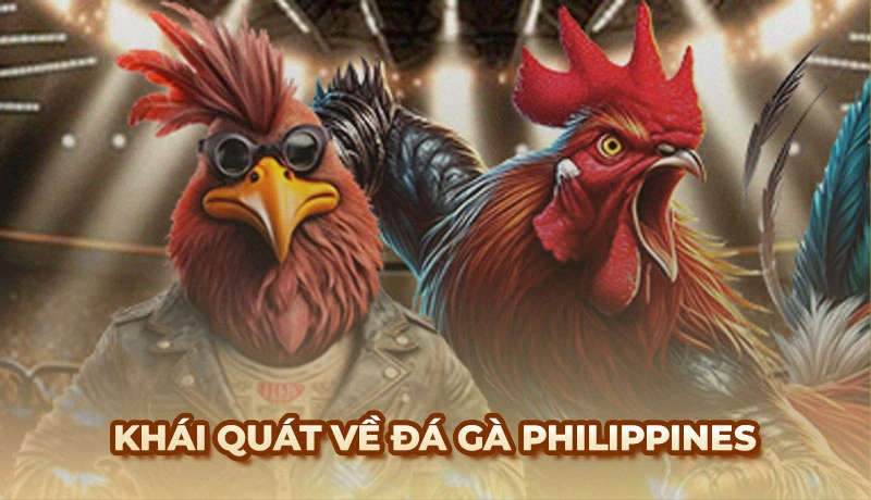 Đá gà Philippines tại Ga6789 - Hướng dẫn cách chơi cho tân thủ