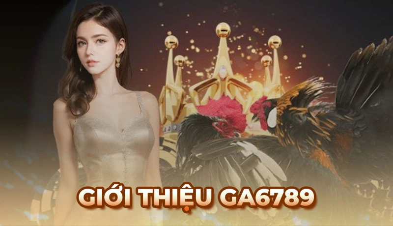 Giới thiệu thương hiệu Ga6789 - Trang đá gà hàng đầu châu Á