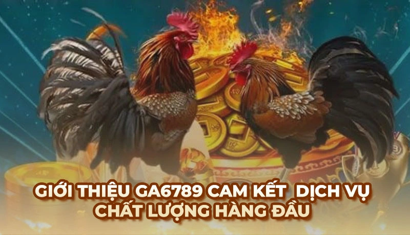 Giới thiệu thương hiệu Ga6789 - Trang đá gà hàng đầu châu Á