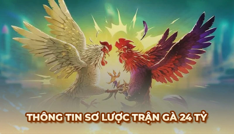 Trận đá gà 24 Tỷ - Cơn địa chấn trong lịch sử trường gà Thomo