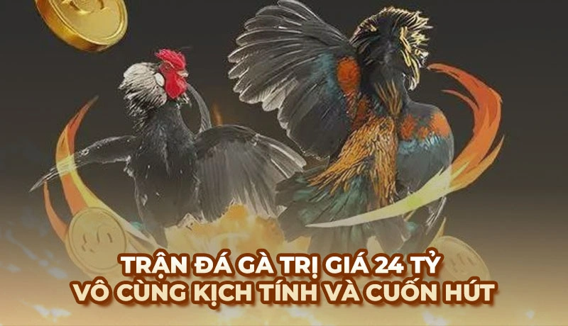 Trận đá gà 24 Tỷ - Cơn địa chấn trong lịch sử trường gà Thomo